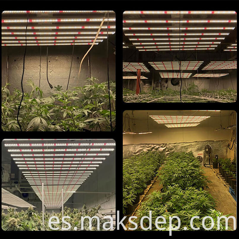 Grow Lights 100w